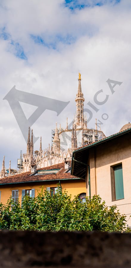 Img-Chi-Siamo-00
